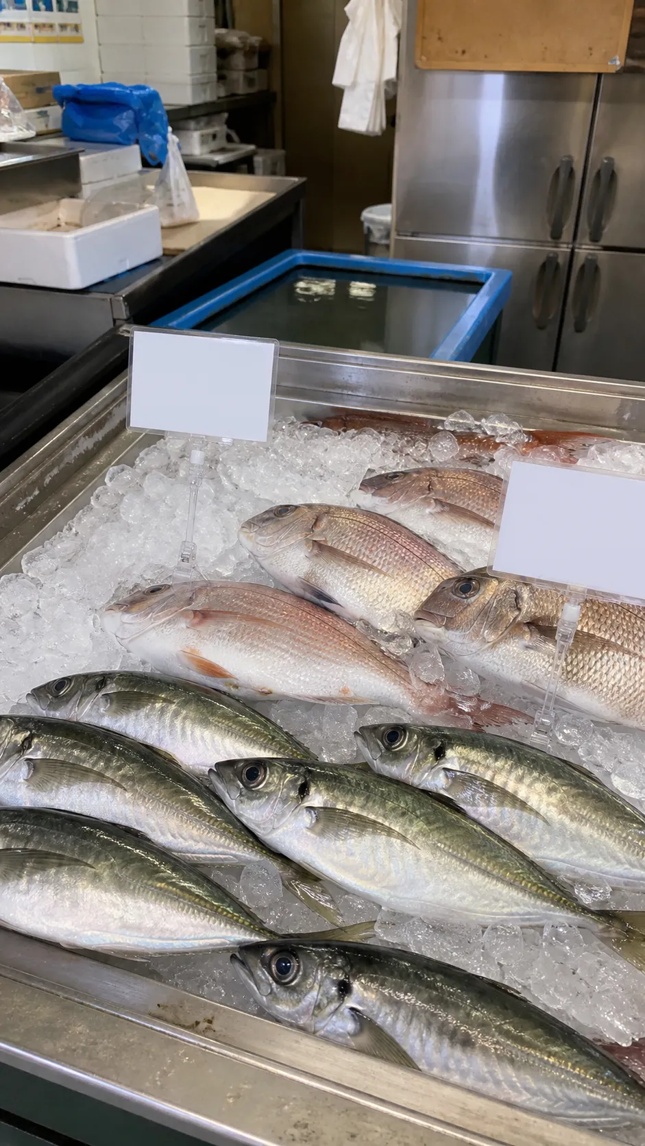 鮮魚店の素材写真